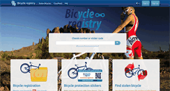 Desktop Screenshot of bicreg.info